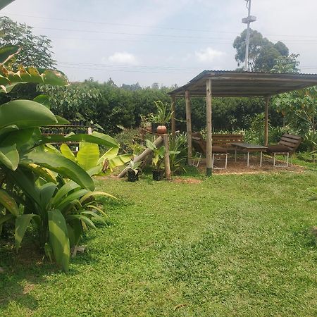 Gaia Eco Hub Bnb Fort Portal Dış mekan fotoğraf