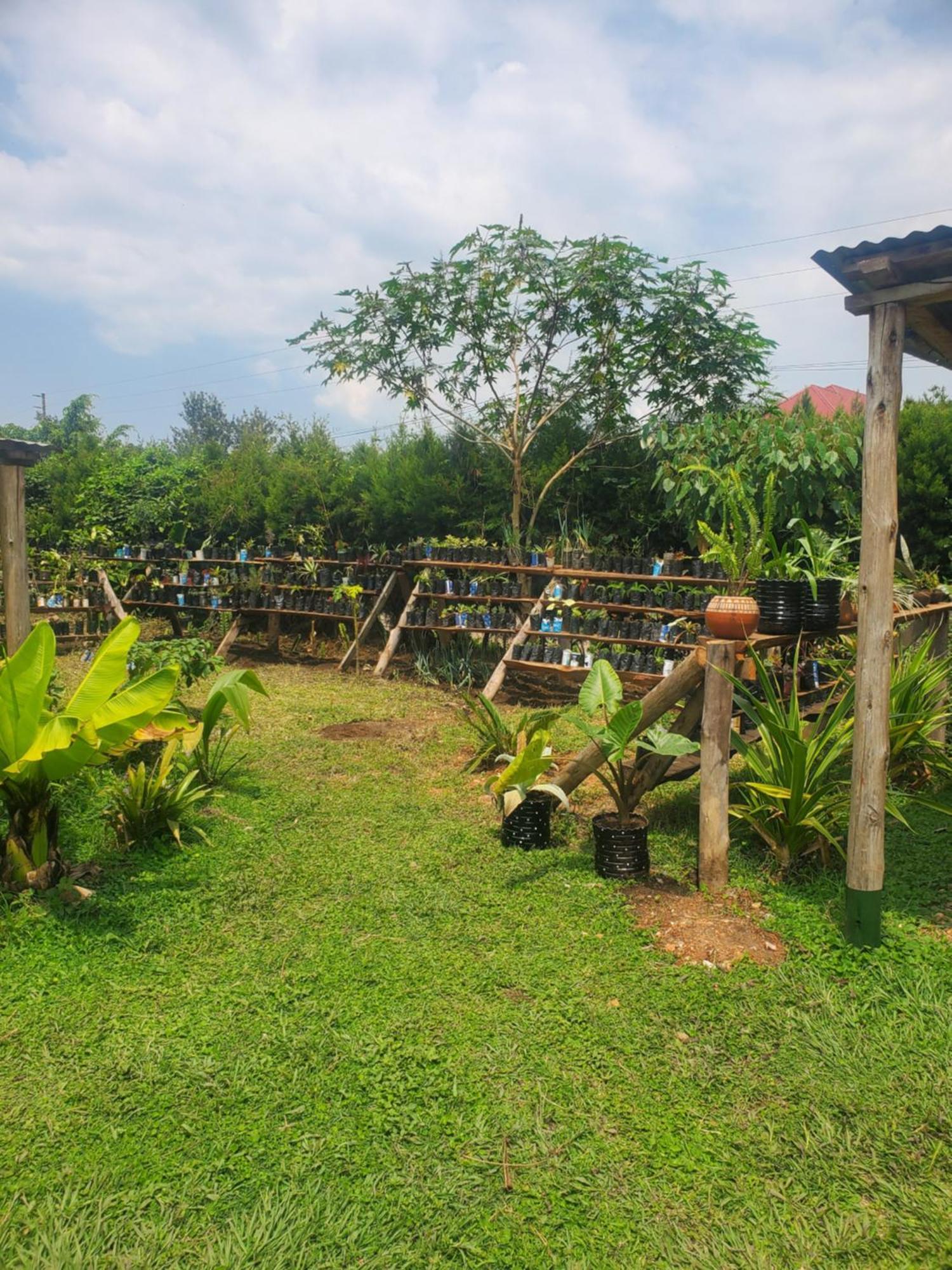 Gaia Eco Hub Bnb Fort Portal Dış mekan fotoğraf