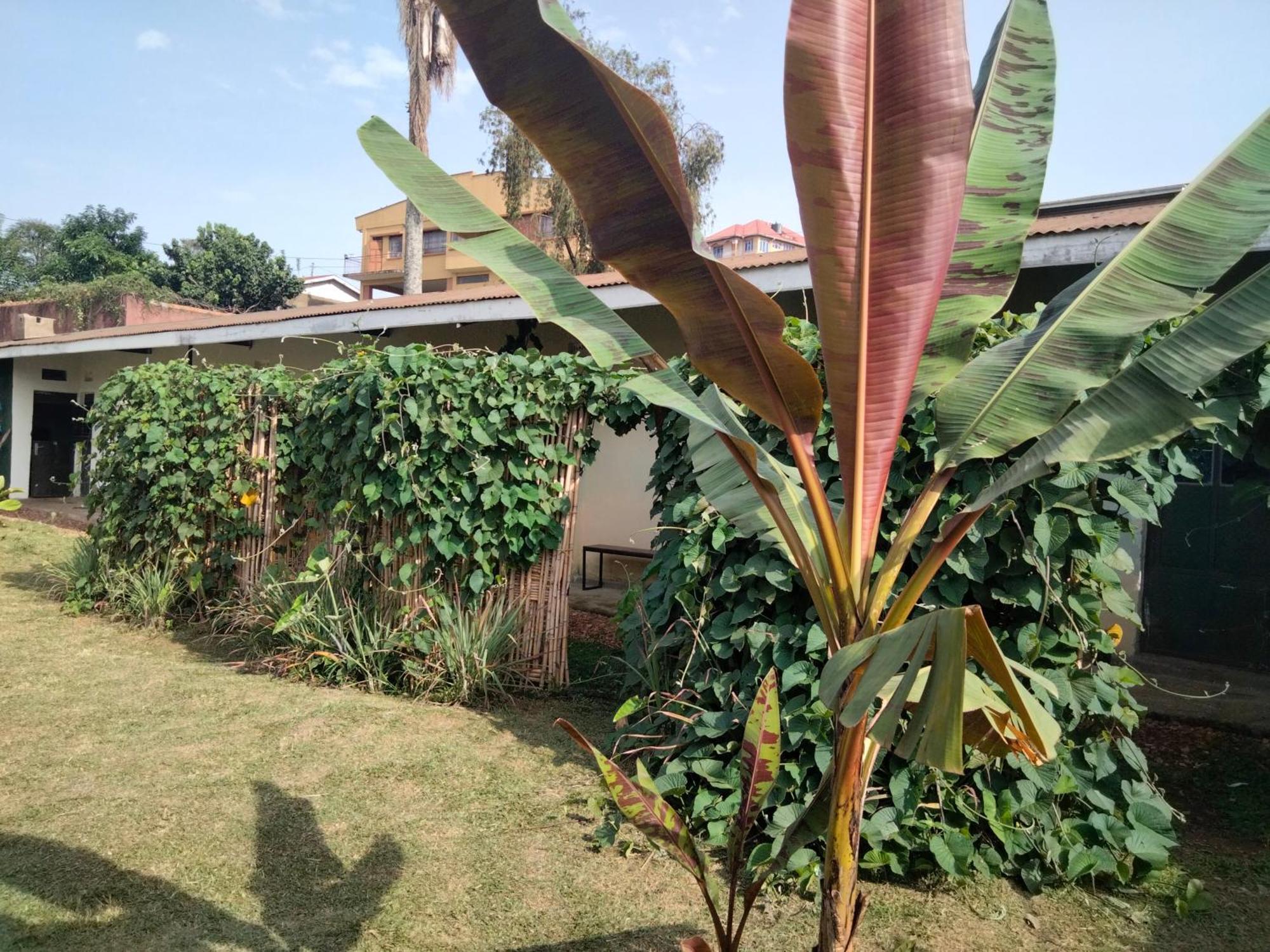 Gaia Eco Hub Bnb Fort Portal Dış mekan fotoğraf