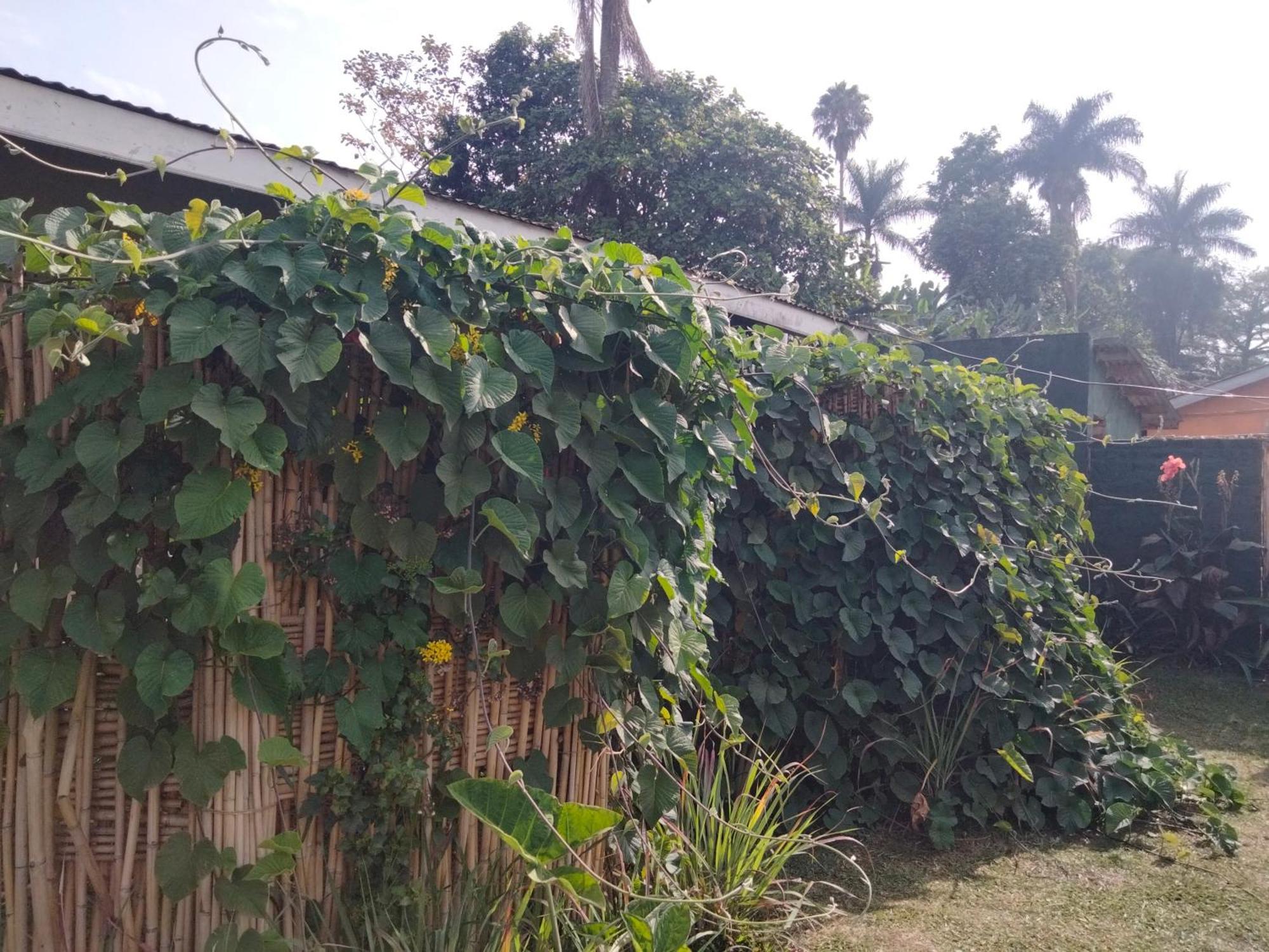 Gaia Eco Hub Bnb Fort Portal Dış mekan fotoğraf